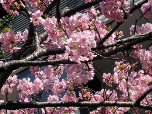 f:id:mmpolo:20150318122732j:image
