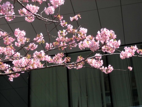 f:id:mmpolo:20150318122733j:image