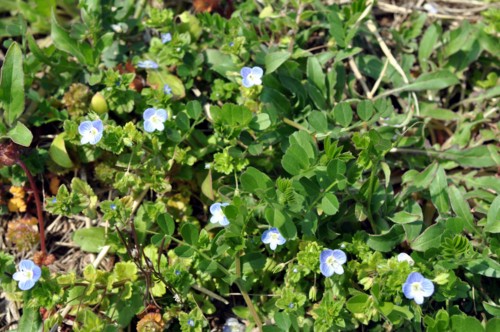 f:id:mmpolo:20150324092011j:image
