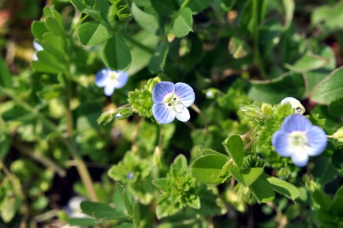 f:id:mmpolo:20150324092012j:image