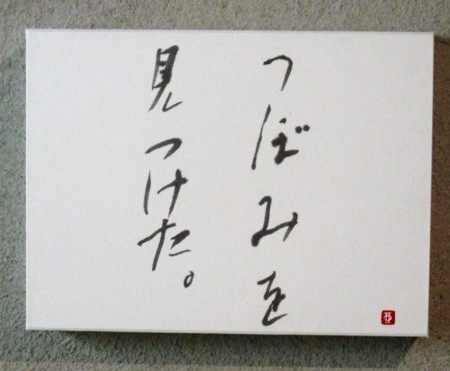 f:id:mmpolo:20171209221914j:image f:id:mmpolo:20171209221914j:image