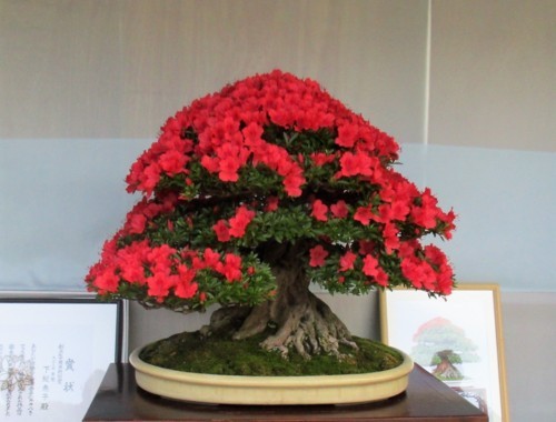 f:id:mmpolo:20180527121955j:image