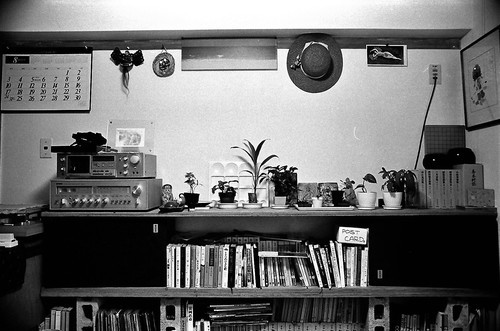 f:id:mmpolo:20190111220935j:image f:id:mmpolo:20190111220935j:image