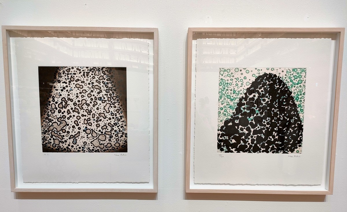 青木野枝・銅版画／額装込み 青木野枝・銅版画／額装込み