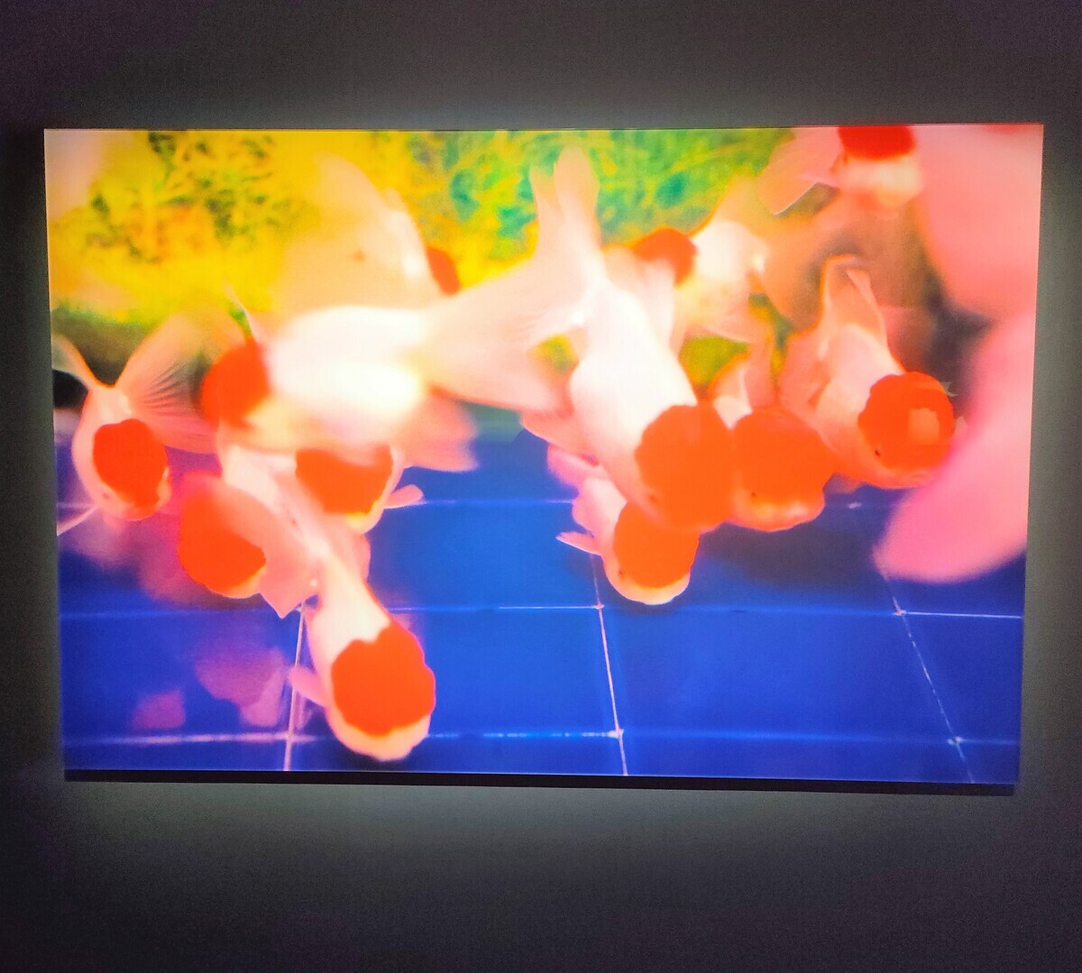 ◇【アート】サイン入り◇蜷川実花・永遠の花・2006/1刷