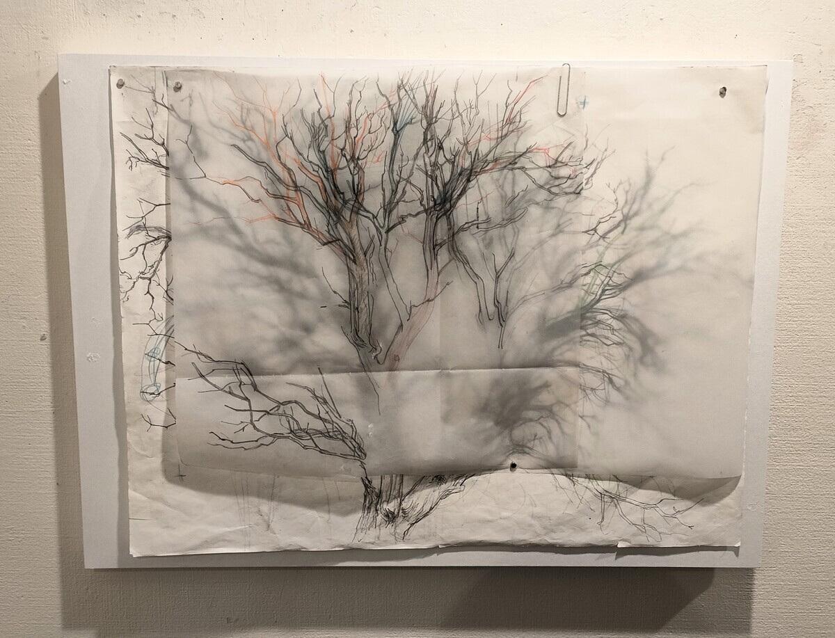 「誰が見ても凄い絵」 柴田悦子画廊の浅見貴子個展を見る - mmpoloの日記