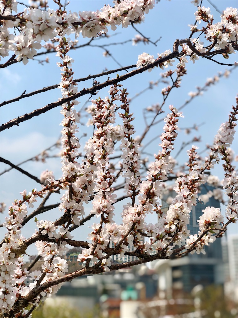 f:id:mmseoulmm:20190403232039j:image