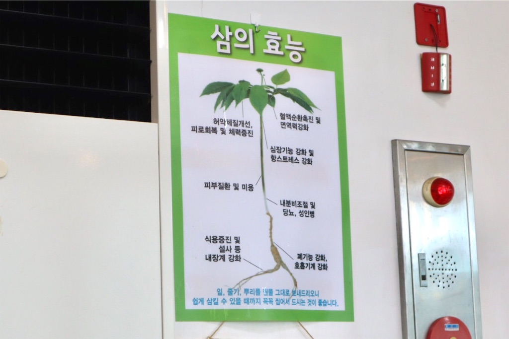 f:id:mmseoulmm:20200820132858j:plain