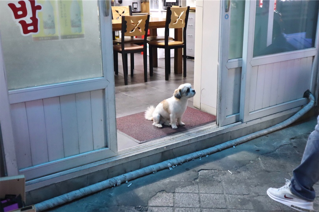 f:id:mmseoulmm:20201024231341j:plain f:id:mmseoulmm:20201024231341j:plain