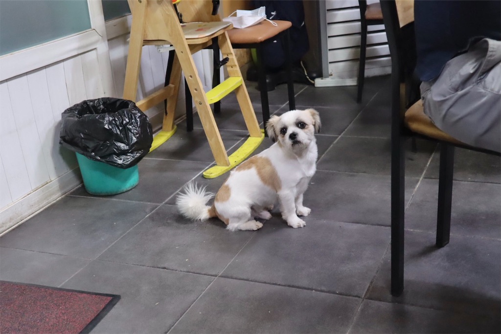 f:id:mmseoulmm:20201024231345j:plain f:id:mmseoulmm:20201024231345j:plain