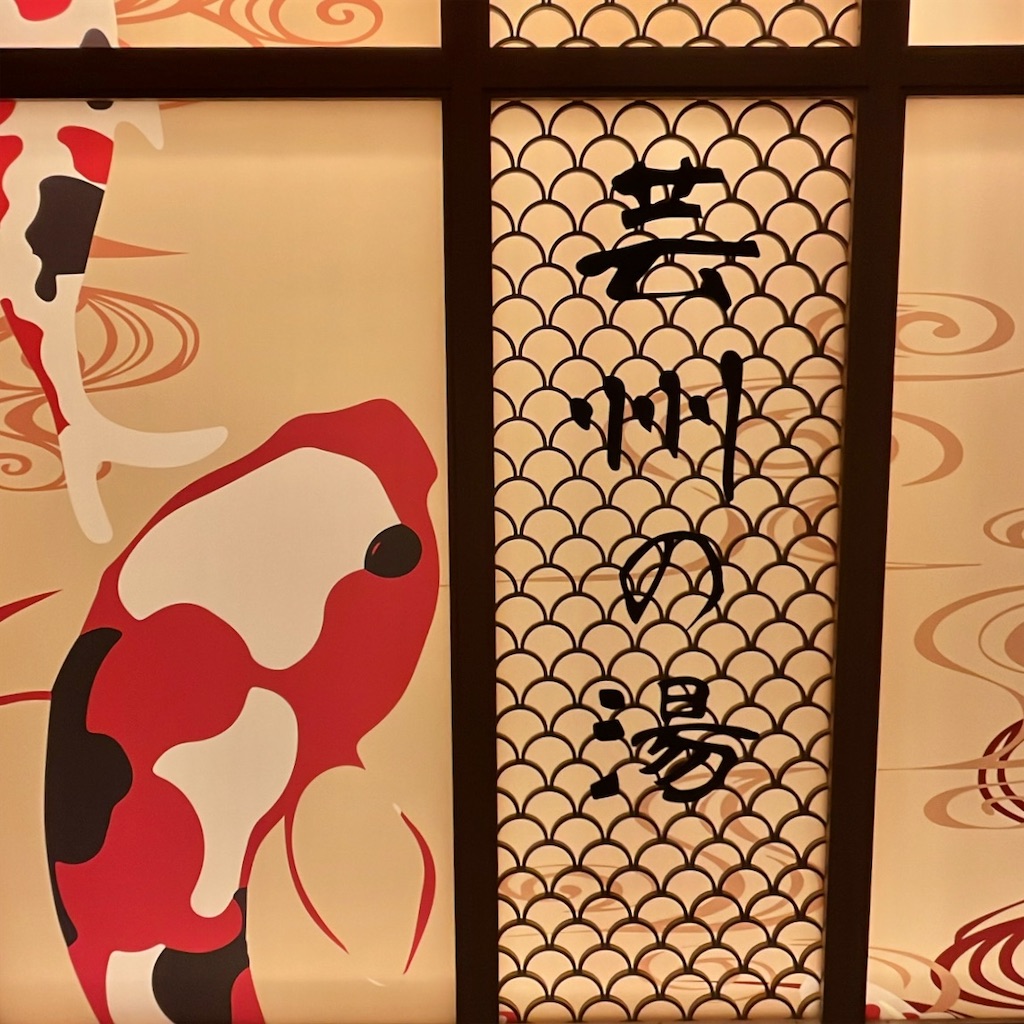 f:id:mmsmstmt0505:20250310013334j:image