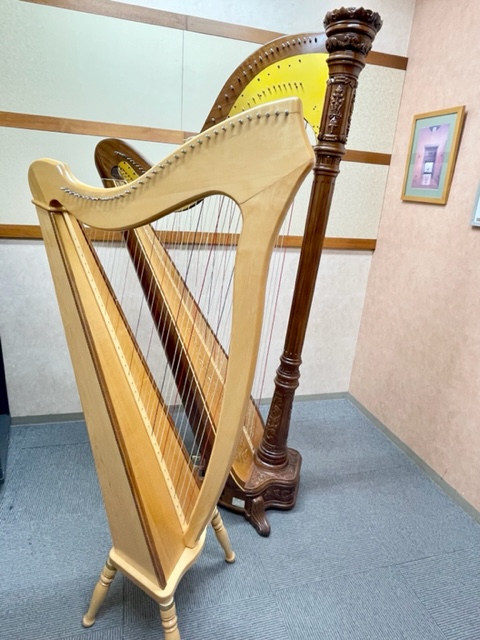 ハープコースのご紹介 大人のための音楽教室 Mikiミュージックサロン梅田 Blog
