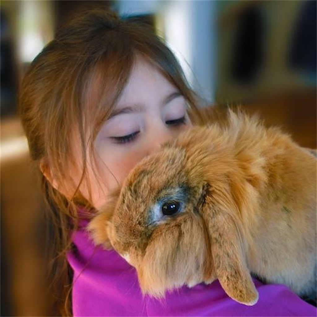 f:id:mmt_ntm:20201212095030j:image
