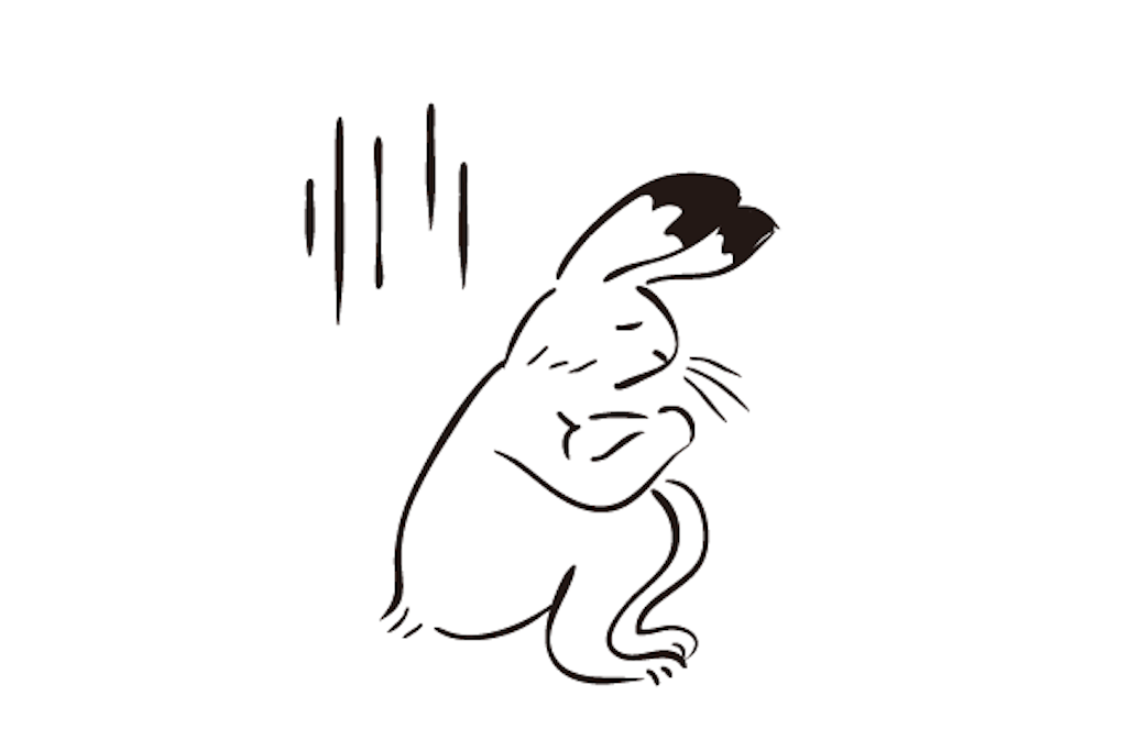 f:id:mmt_ntm:20201227210344p:image