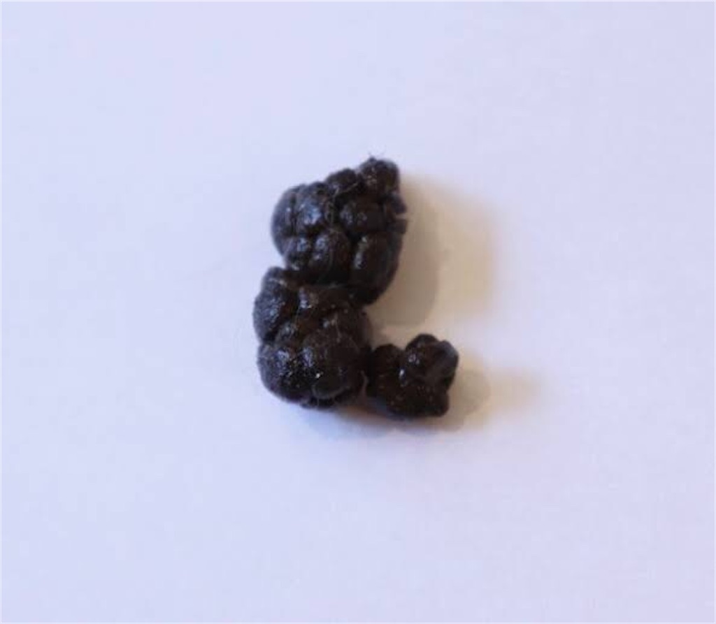 f:id:mmt_ntm:20201227210622j:image