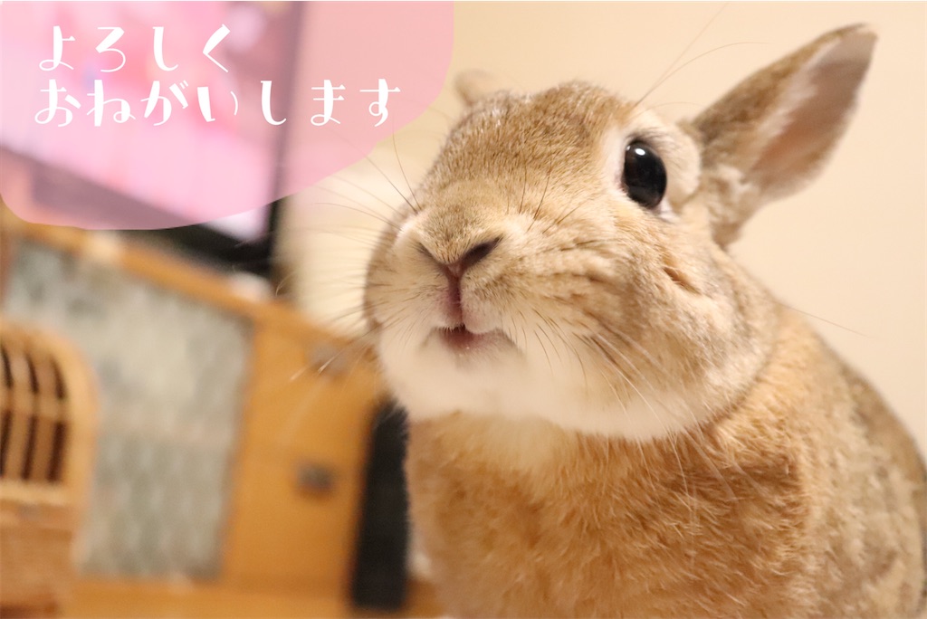 f:id:mmt_ntm:20210204000905j:image
