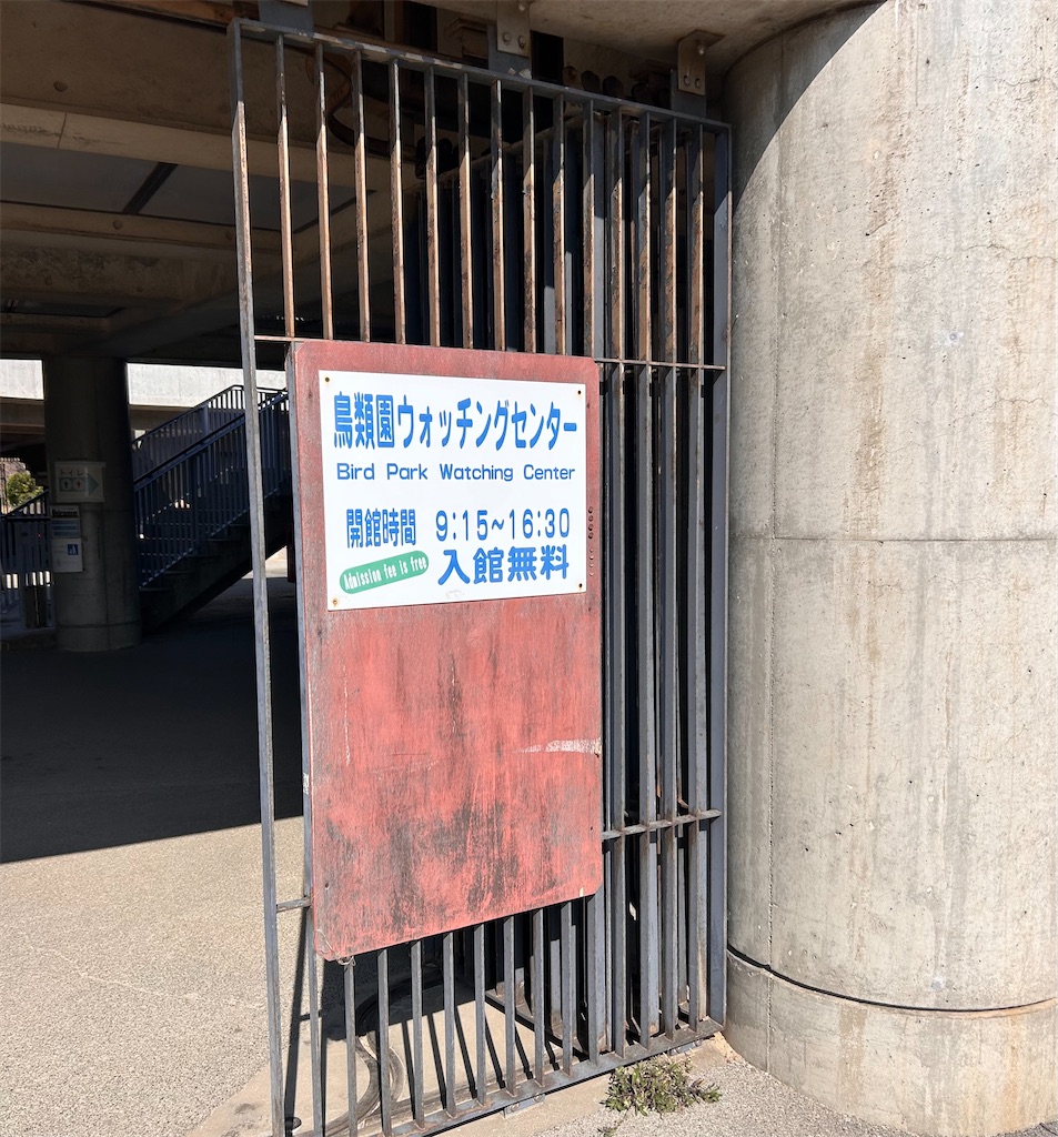 f:id:mmvillage:20260222183645j:image
