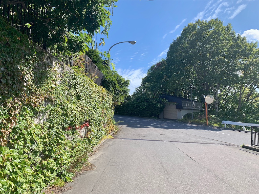 f:id:mmwr:20190927155133j:image