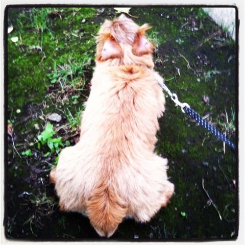 f:id:mmxxx:20120721204155j:image