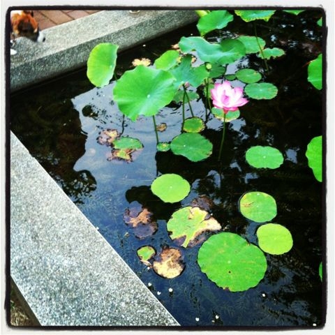 f:id:mmxxx:20120728121945j:image