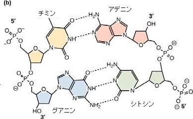 f:id:mmyi:20210218103014j:plain