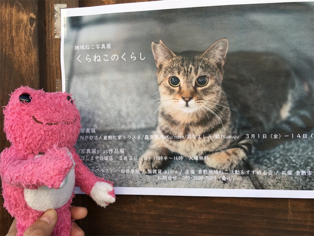 f:id:mmymmymmy315:20190311092223j:image f:id:mmymmymmy315:20190311092223j:image