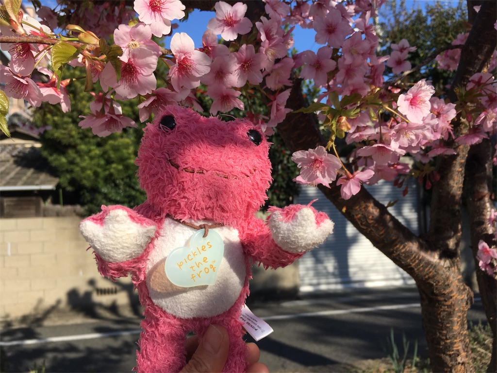 f:id:mmymmymmy315:20190311095951j:image f:id:mmymmymmy315:20190311095951j:image
