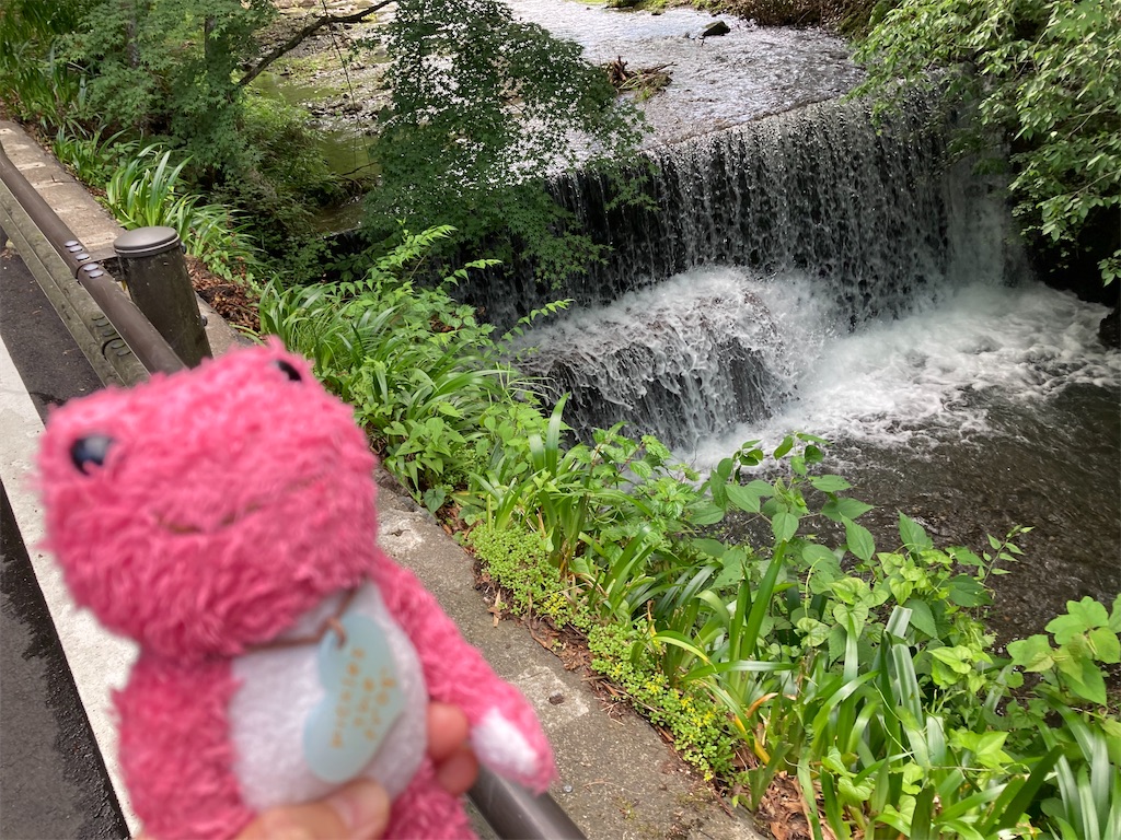 f:id:mmymmymmy315:20200622143146j:image