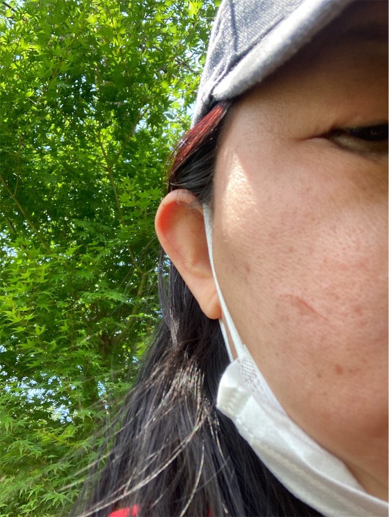 f:id:mmymmymmy315:20200622143226j:image