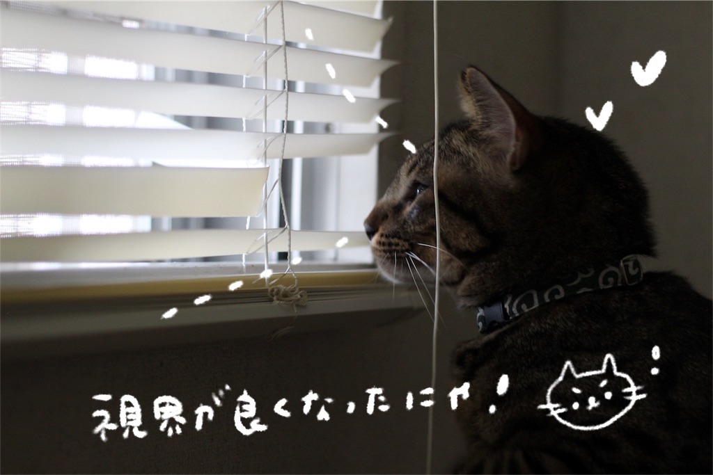f:id:mn365:20190121221047j:image