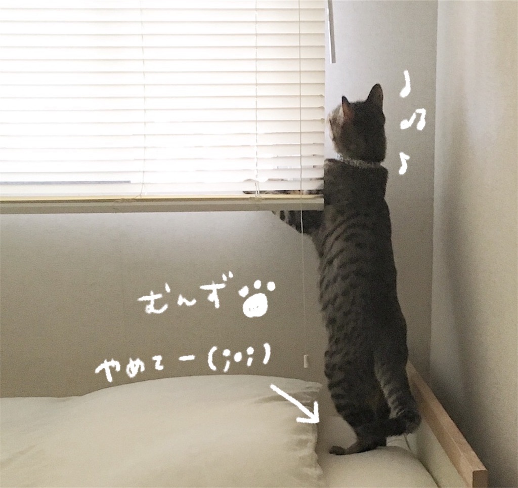 f:id:mn365:20190121221055j:image
