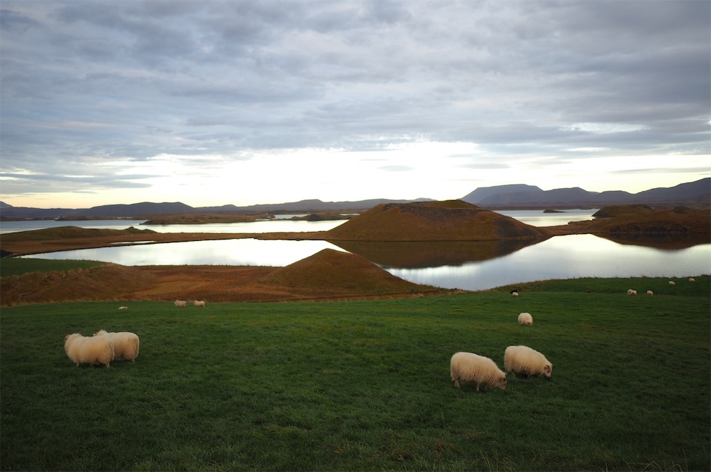 f:id:mnakaji0526:20170923003045j:plain