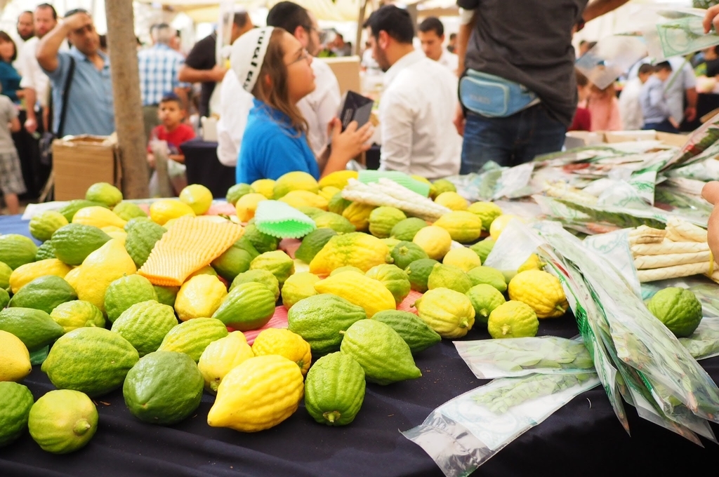 f:id:mnakaji0526:20181006151742j:plain