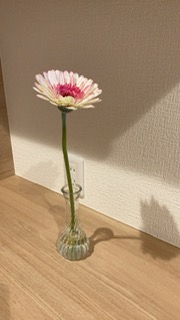 f:id:mnawa0326:20210326064422j:plain
