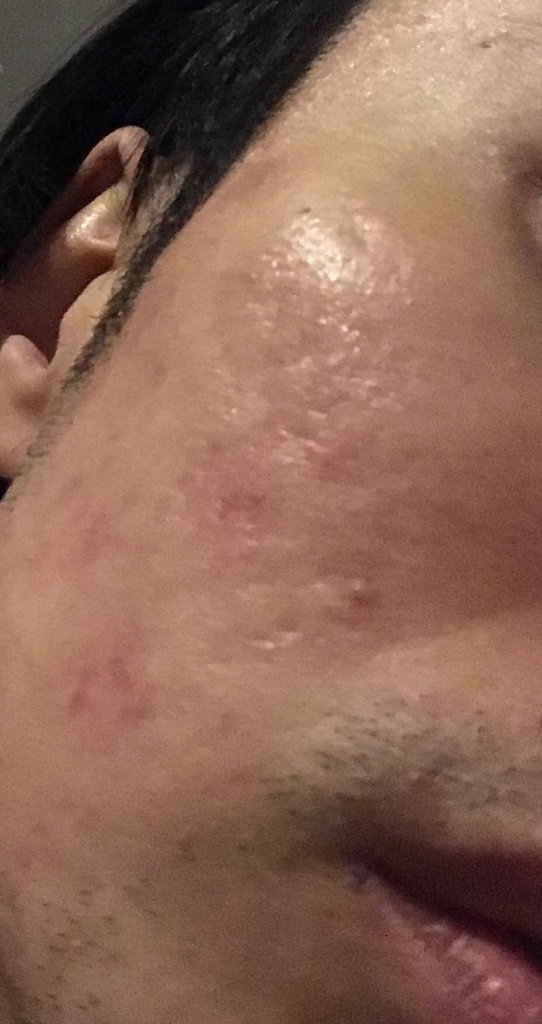 f:id:mnhy613:20190211012216j:plain