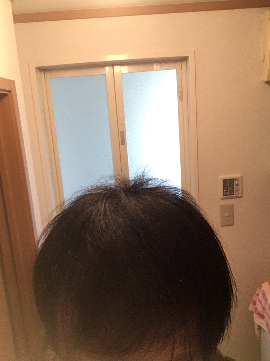 f:id:mnhy613:20190402170250j:plain f:id:mnhy613:20190402170250j:plain