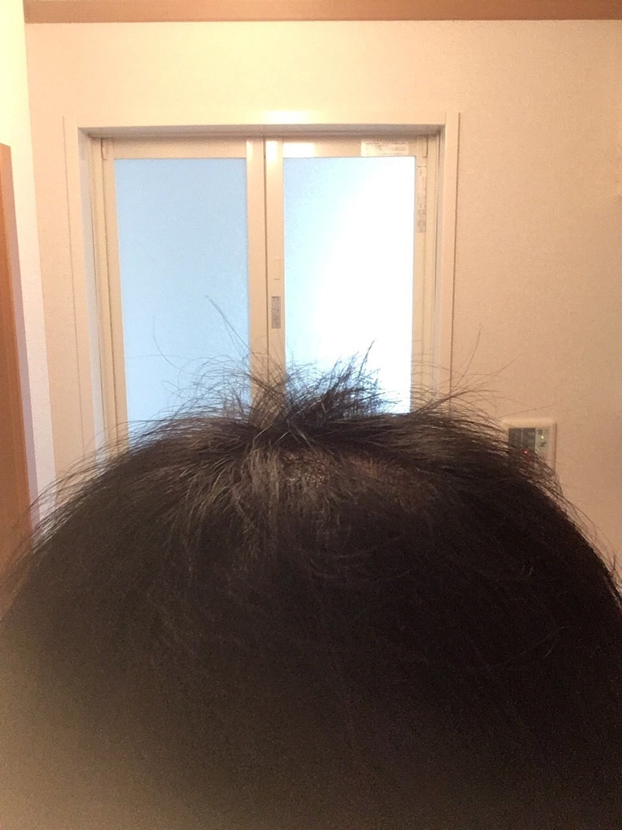 f:id:mnhy613:20190402170323j:plain f:id:mnhy613:20190402170323j:plain