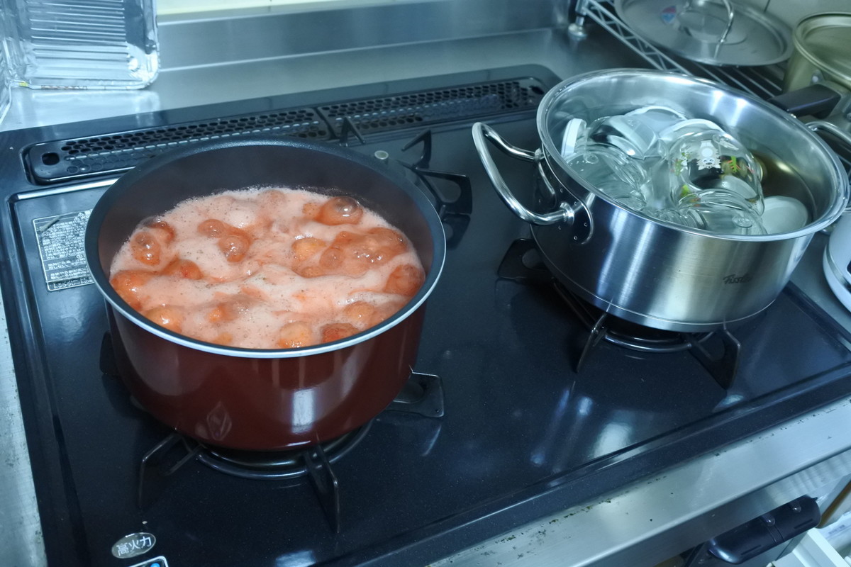 f:id:mnishikawa:20200510141222j:plain