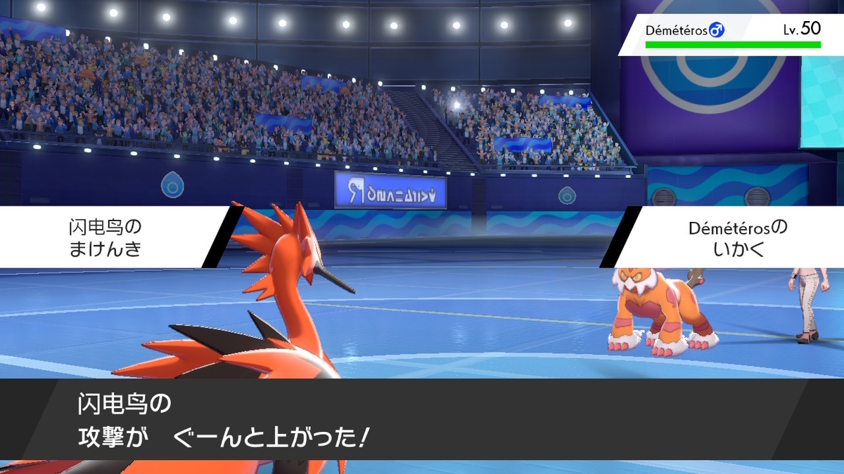 ポケモン剣盾シングル アクロバット兄弟シングルバトル まけんき ビビリだま戦術 受けルガチアンチ