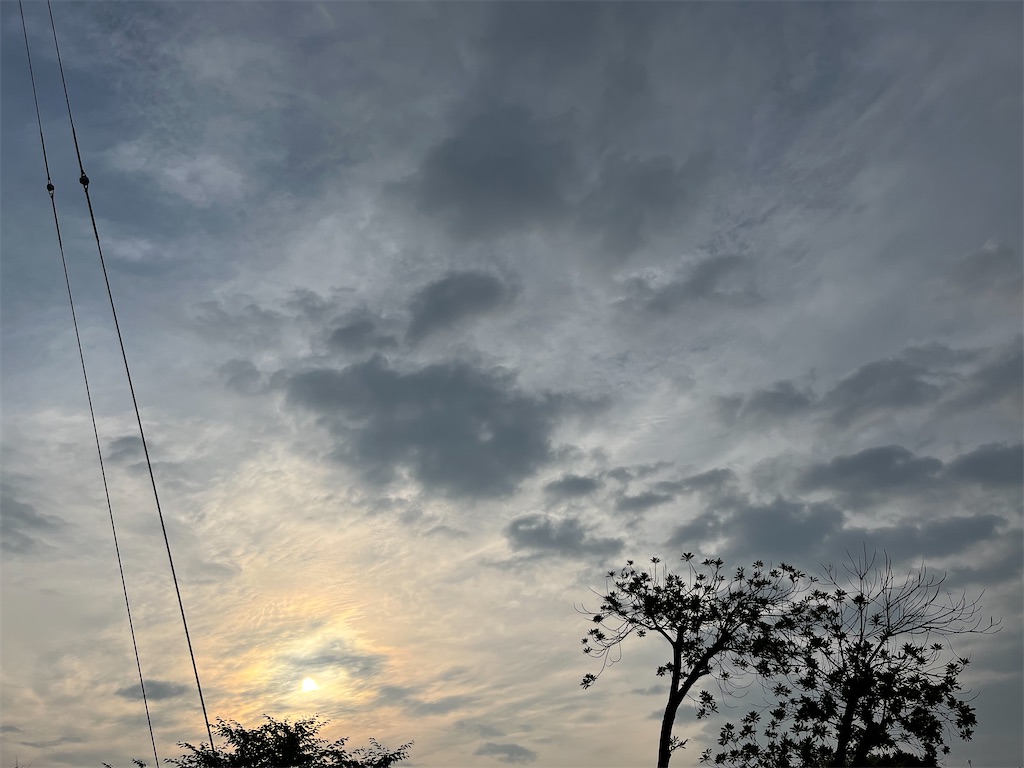 f:id:mnkidxwalking:20220526173449j:image f:id:mnkidxwalking:20220526173449j:image