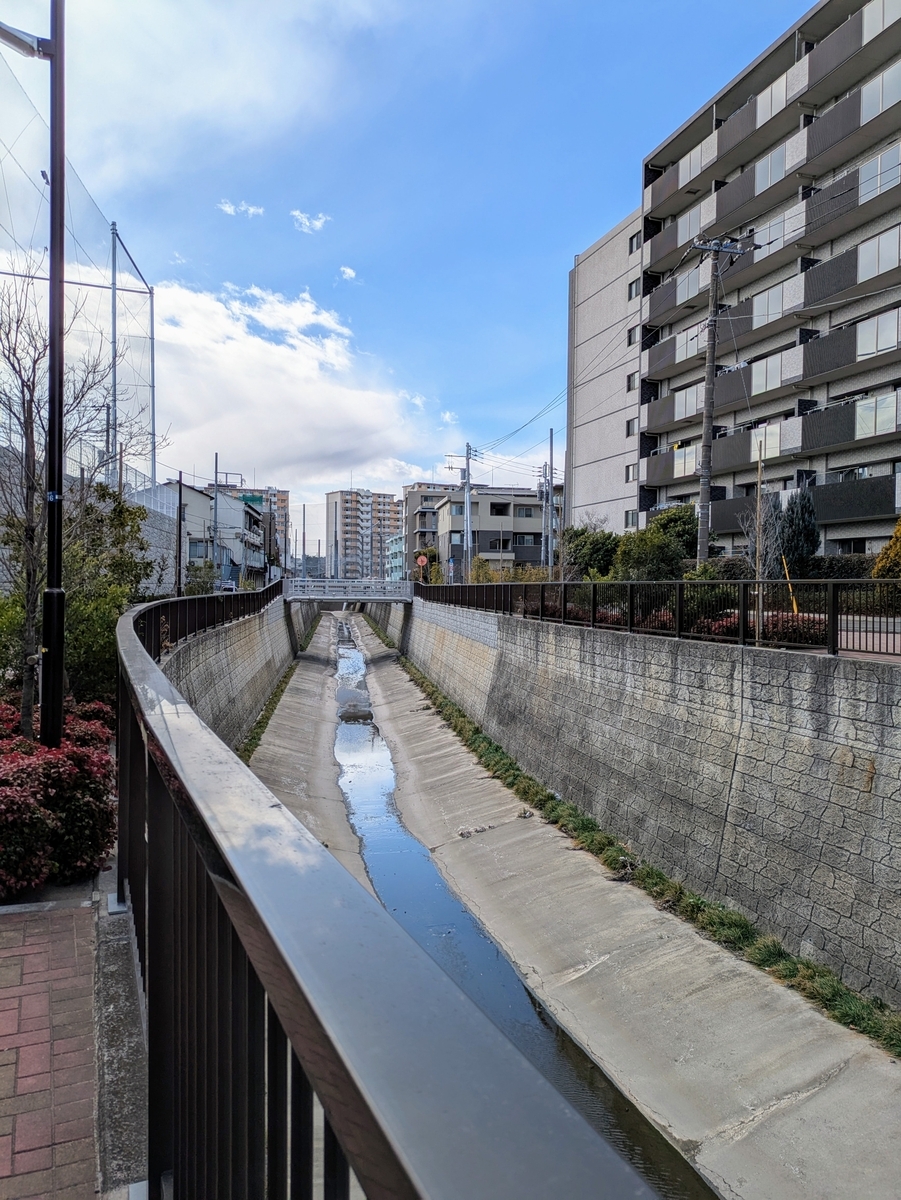 申し訳程度に水の流れる妙正寺川と丸山橋