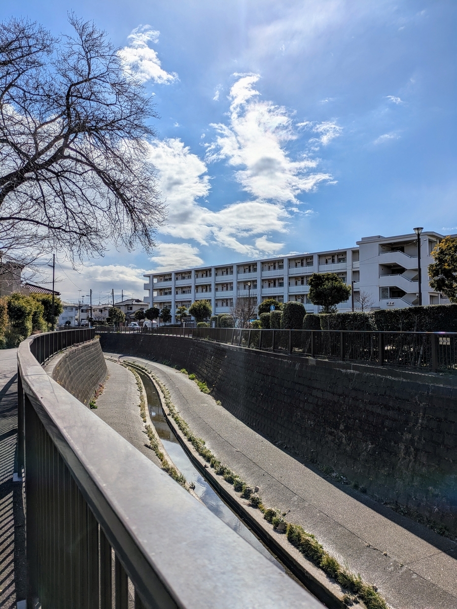 護岸の幅に見合わない細さの妙正寺川