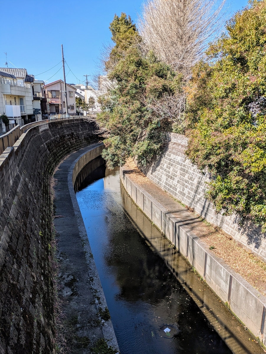 三谷橋から見る妙正寺川上流方面