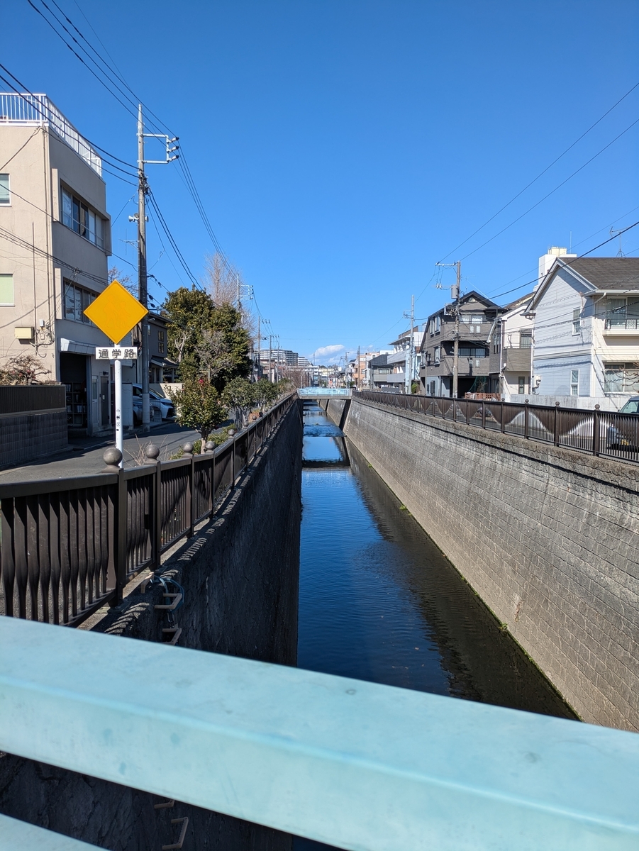 大下橋から見た妙正寺川と曙橋
