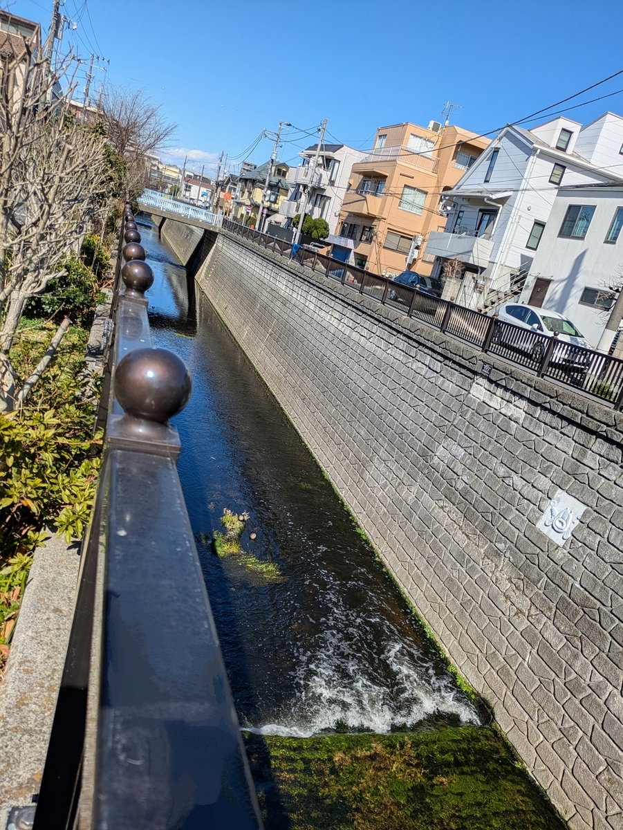 曙橋から見た妙正寺川と山下橋