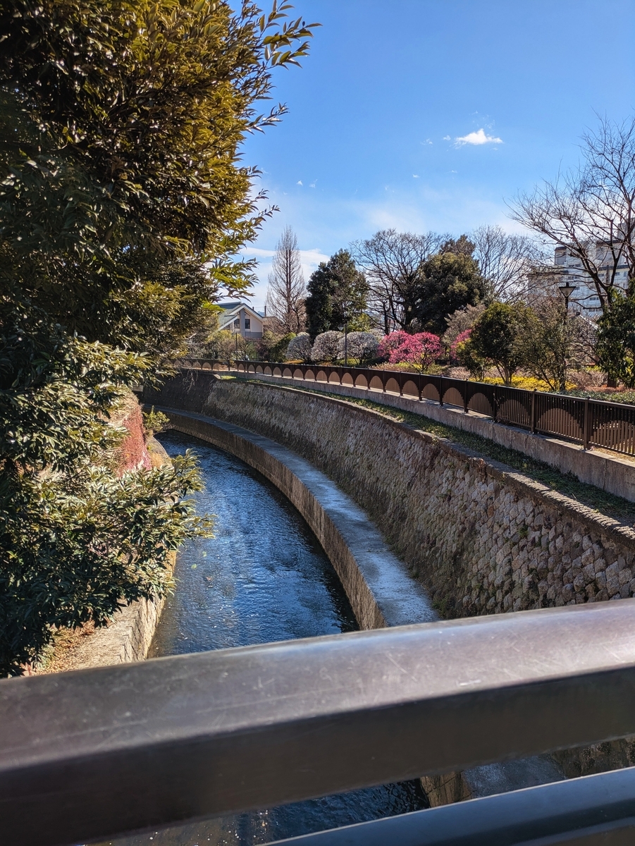哲学堂公園内を流れて行く妙正寺川