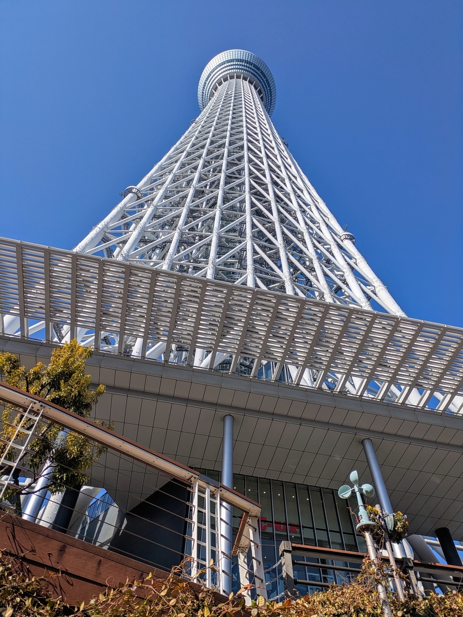 真下から見上げるスカイツリー