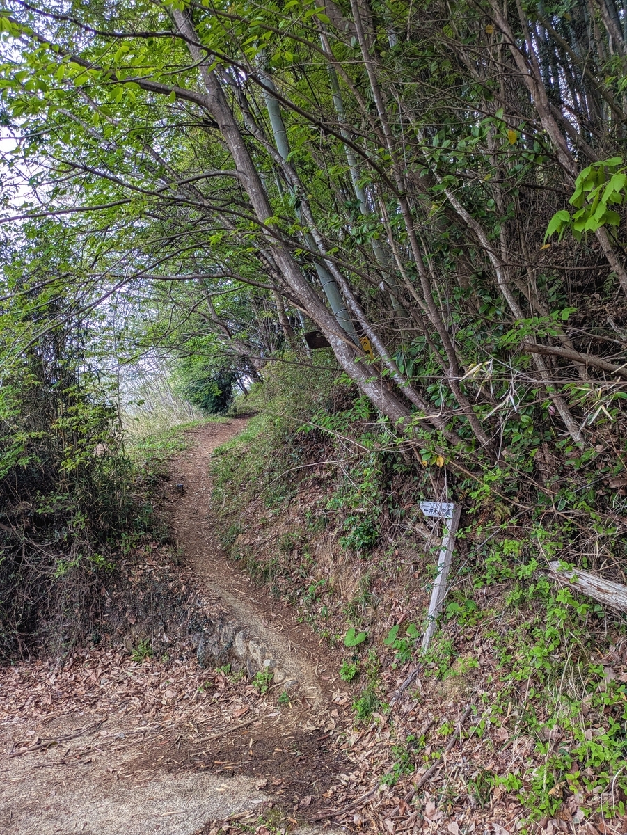 網代弁天山登山口