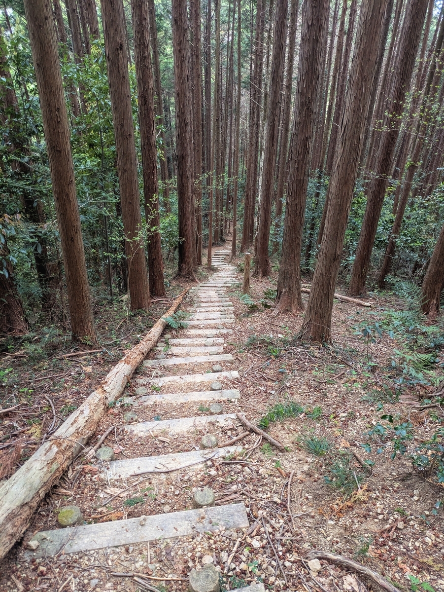 上から見る長階段