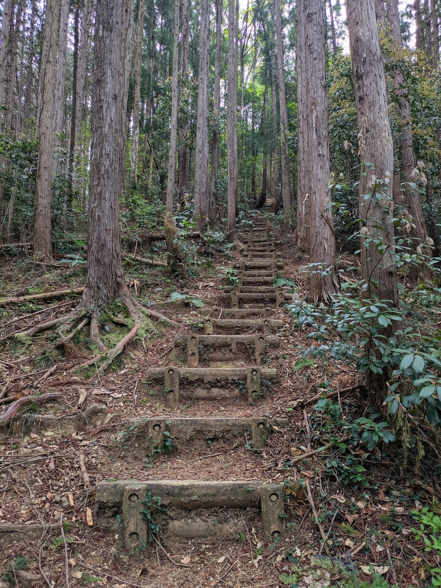 木々の間にのびる長い階段